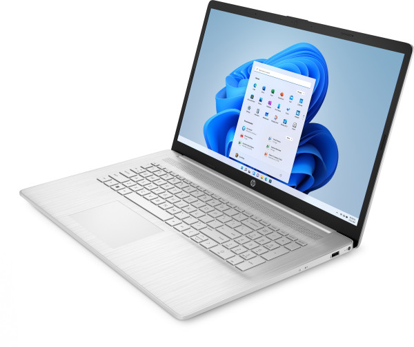 HP 17-cp0647ng Laptop 17,3 Zoll (43,9 cm) Silber, IPS, Full-HD, AMD Ryzen 5 5500U, 8 GB, 512 GB M.2